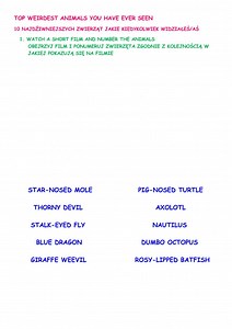 Weird Animals worksheet