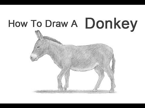 How to Draw a Donkey