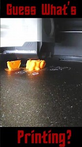 Guess What's Printing? - 11