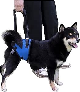 Walkin’ Drag Bag - Comfortable Drag Bag for Disabled Dogs and Cats, Protects Chest and Limbs, Made with Durable Nylon