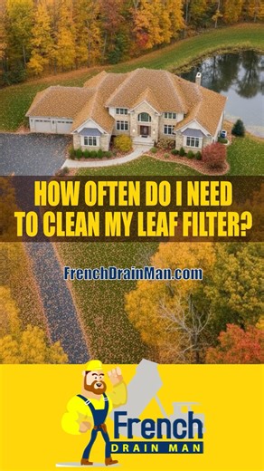 How Often do I Need to Clean My Leaf Filter? What times of the Year?