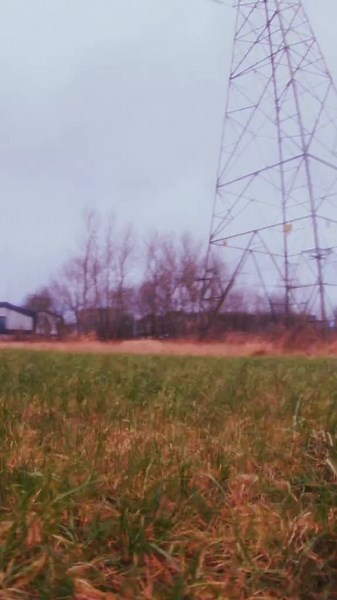 Call Me Out Everywhere: What You Need to Know