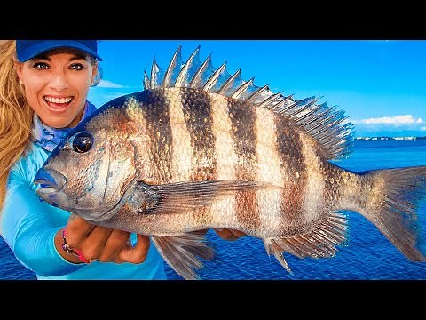 How To Clean And Fillet Sheepshead