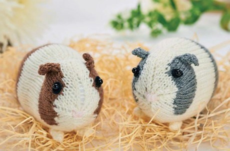 Easy Knitted Guinea Pigs | Knitting Patterns | Let's Knit Magazine