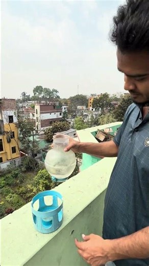 Belgabion For Pigeons #güvercin #merpati #homingpigeon #racingpigeon #kalapati #کبوتر #kabutar