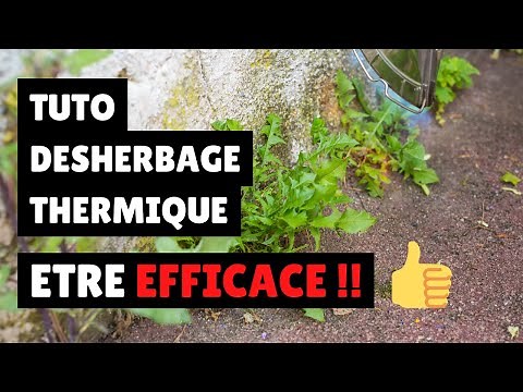 TUTO : être EFFICACE en désherbage thermique