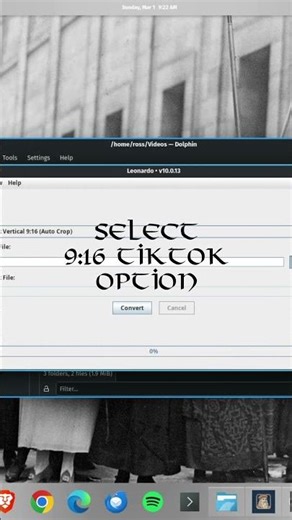 Leonardo 10.0.13 Fixes TikTok 9:16 Vertical Crop (Linux Video Converter)