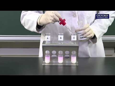 Practical 6.4 Investigation of the action of lipase