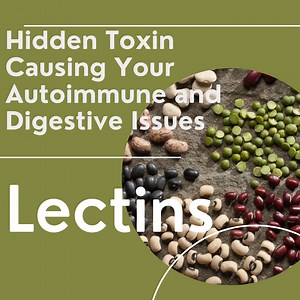 Lectins As A Cause of Leaky Gut Syndrome, Autoimmune Disorders and Weight Gain.