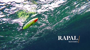 How Lures Swim: Rapala Skitterwalk