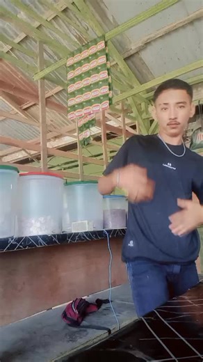 BG DENI ⛈️LEO⛈️ on TikTok