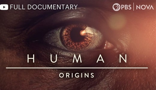 Human: Origins | Full Documentary | NOVA | PBS