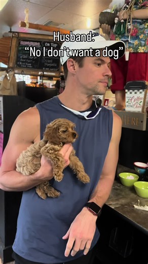 Didn’t take long for him to fall in love with me 💗 #dogsoftiktok #funnydog #dogslife #dogs #cutedog