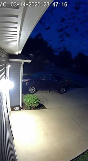 WAKING NIGHTMARE! 😱 AGGRESSIVE RAVEN MURDER TRAPS DRIVER! 🐦‍⬛🚗