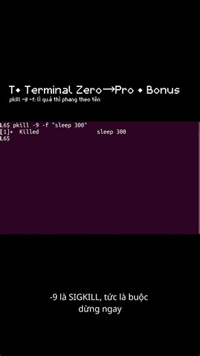 T• pkill -9 -f: process lì quá thì phang theo tên | Bonus (Terminal Zero→Pro) #ubuntu #terminal #xh