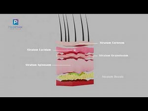 3D Animation | UV Light Effects on Skin and Eye Layers