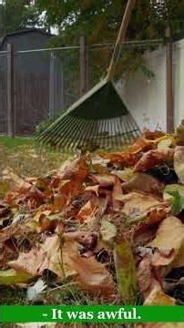 Making fall clean and easy — one leaf at a time. 🍂