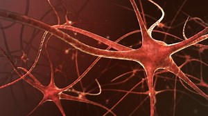 神経回路網。電気信号を送り合い、互いに通信するニューロン構造。3Dアニメーション。