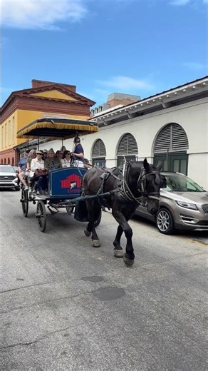 Trading the rush for a carriage ride. #charlestonsc