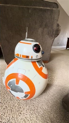 The Initiation Process and Sounds.