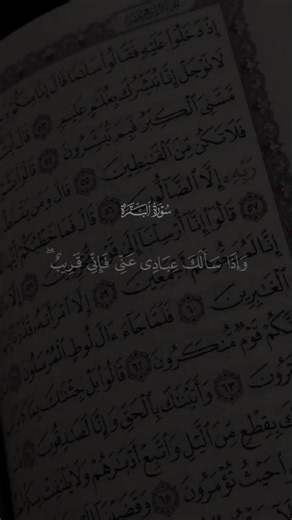 ما تيسر من سورة البقرة — تلاوة مختارة بصوت مشاري