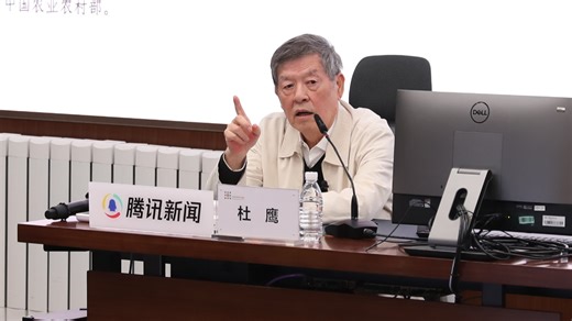 杜鹰：食物安全是粮食安全的延伸，食物安全是中国农业面临的真正挑战_腾讯新闻