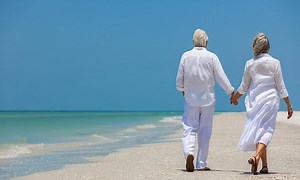 Another private equity disaster as Saga crashes: Shares dive 37%