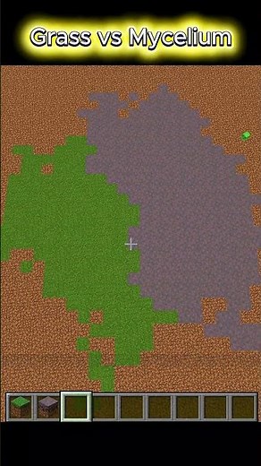 Grass vs Mycelium In Minecraft