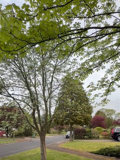 Experience English Village Life: Travel Adventure