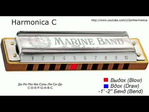 C major scale on diatonic harmonica C