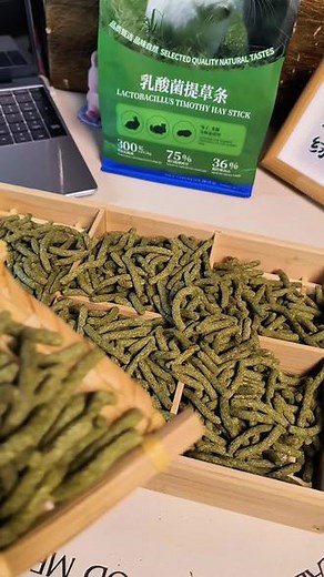 养兔的家长们，家里兔子挑食不爱吃牧草，粑粑又小又黑。就安排这个乳酸菌提草条，补充粗纤维又营养！我家大兔、小兔都爱吃！#兔子 #乳酸菌提草条 #提草条 #兔子零食