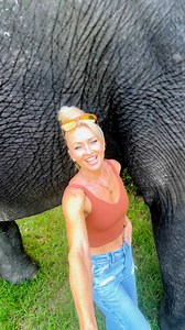 94K views · 6.3K reactions | Welcome to any new followers! This account is about have real discussions about the elephant husbandry and trying to educate the public on elephants living in domestic care and how we can support them and give them a future along with educating people about the problems they face in the wild. #FreeContactCare #elephanthusbandry #multispeciesherd #ElephantCaretaker #animal #elephant #animallover | The Walking Elephant | Facebook