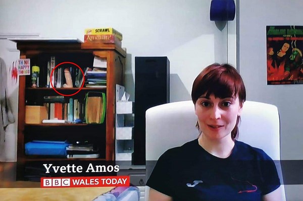 Woman goes viral after appearing on TV with dildo behind her
