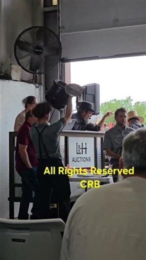 Clucking Auctioneer with the Amish selling restaurant equipment