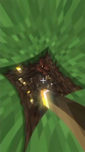 Minecraft Torch Give Random Loot || CHALLENGE || 😱 #minecraft #viral #gaming