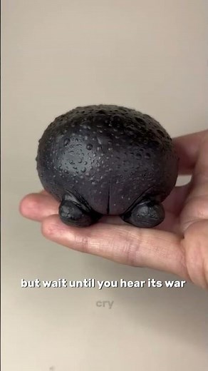 Black Rain Frog: Meet the World’s Angriest Avocado! 🥑💢