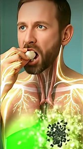 3D human digestive system animation 3d realistic