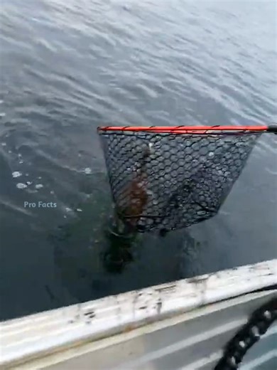 Essential Tips to Support Your Personal Growth Journey