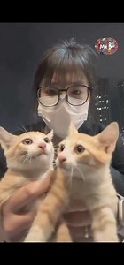 Twin turbo car! I choose you!! | Mr.B