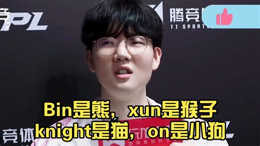 Viper专访：Bin是熊，xun是猴子，knight是猫，on是小狗