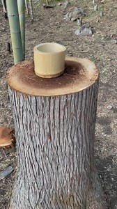 4.7K views · 41 reactions | Drinking MaTcha is always the Goal ⚡...