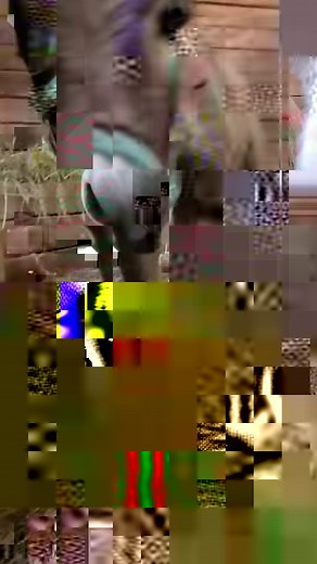 This dog's been obsessed with a baby donkey since the day she was born 💞 Watch as they develop the most beautiful bond! Keep up with Colton and Willlow at Little Buckets Farm Sanctuary on Facebook and YouTube: thedo.do/littlebuckets. | The Dodo