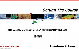 WellPlan_6 BHA Dynamic BHA钻具组合振动分析