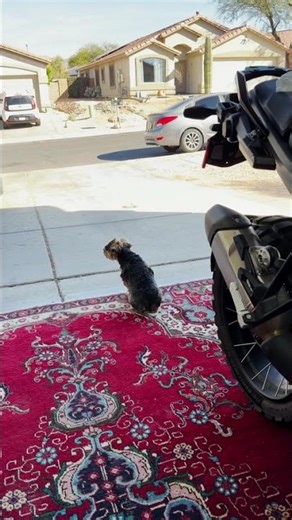 Mod Monday - IMS Pegs 🔧