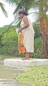 122K views · 1.3K reactions | Amazing Village Women Net Fishing #reels #Fishing | Village Women fishing Channel | Facebook