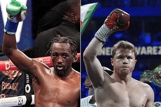 4.9K reactions · 684 shares | Canelo Alvarez  Terence Crawford networth over the years #CaneloCrawford #riyadhseason #caneloalvarez #terencecrawford #boxing #combatsports | Meister Frass | Facebook