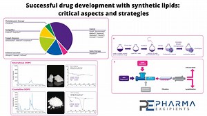 Successful drug development with synthetic lipids: critical aspects and strategies