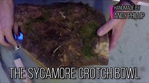 Woodturning - A Sycamore Crotch Bowl