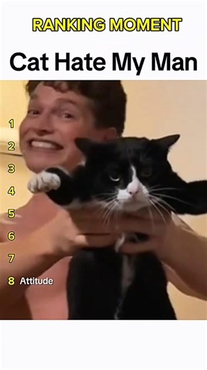 Cat being idiots part 43: Cat hate my man 🤣 #funnycat #funnypet #cutecat #cat #pets #shorts