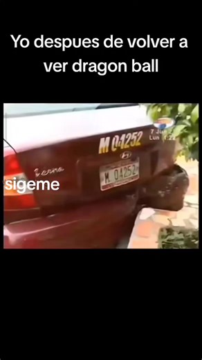 Vegeta Impacta el Carro en un Video Cómico